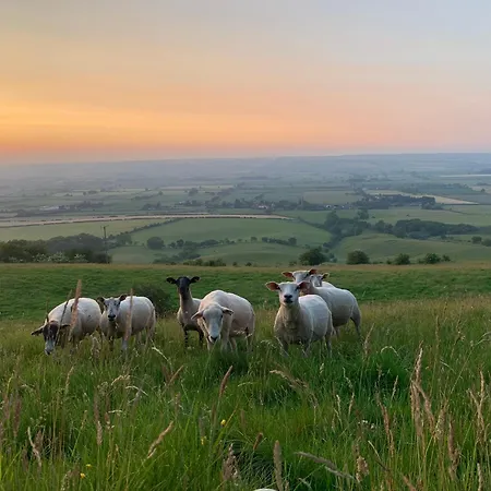 Cosy Wooden Shepherds Hut East Heslerton