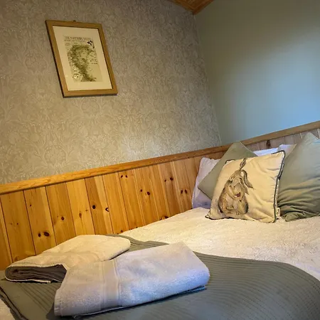 Cosy Wooden Shepherds Hut Camping